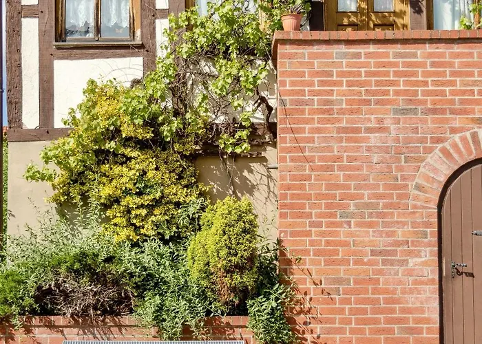 Lägenhet Altstadtquartier Burg Burg bei Magdeburg